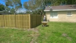 Privacy Fencing